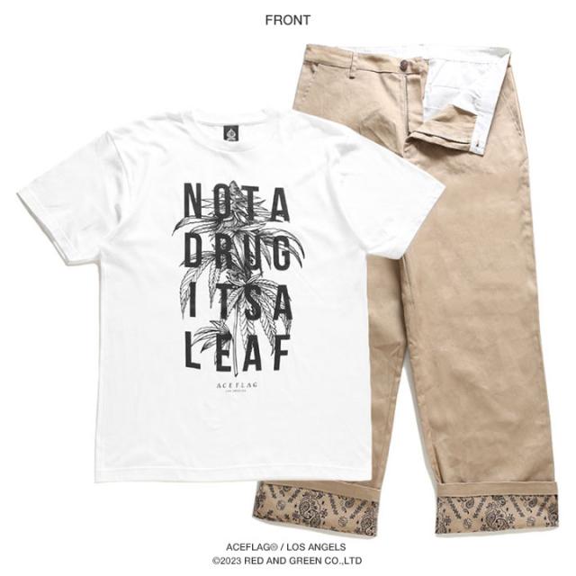 ACE FLAG 上下セット 半袖 Tシャツ チノパン ロングパンツ