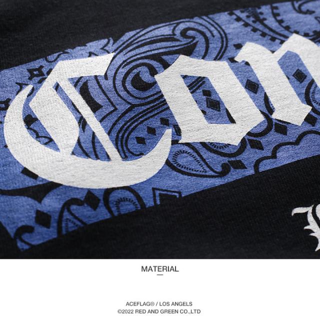 ACE FLAG 上下セット 長袖 ブランド ロンT デニム ロングパンツ メンズ 全2種 大きいサイズ エースフラッグ セットアップ Compton コンプトン ペイズリー 柄 b系 ストリート系 ハイ 新作 AF-SE-LT-030_11