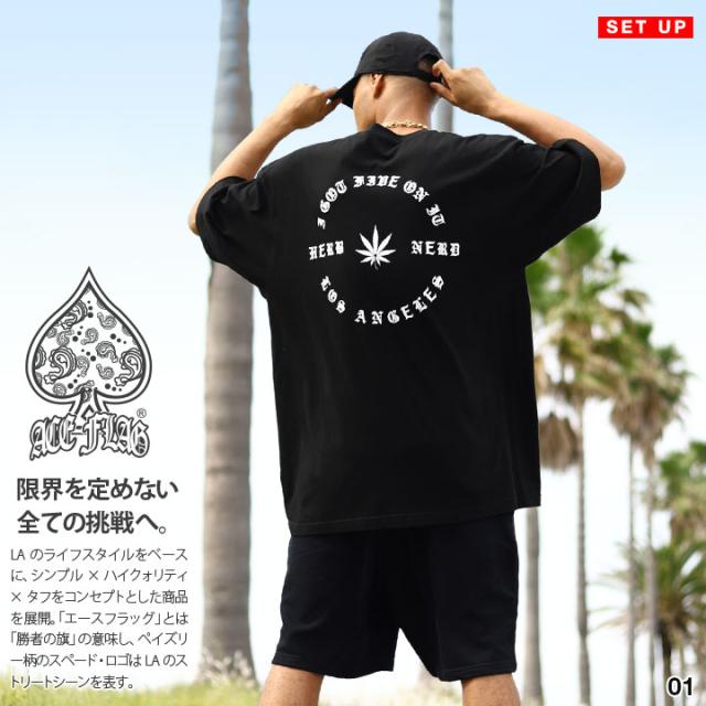 ACE FLAG 上下セット 半袖 ブランド Tシャツ ハーフパンツ メンズ 春夏用 全2色 大きいサイズ エースフラッグ セットアップ スウェット バッズ 大麻 マリファナ ヘンプ HERB NERD ハーブナード b系 ヒップホップ ストリート系 ハイ 新作 AF-SE-TS-166