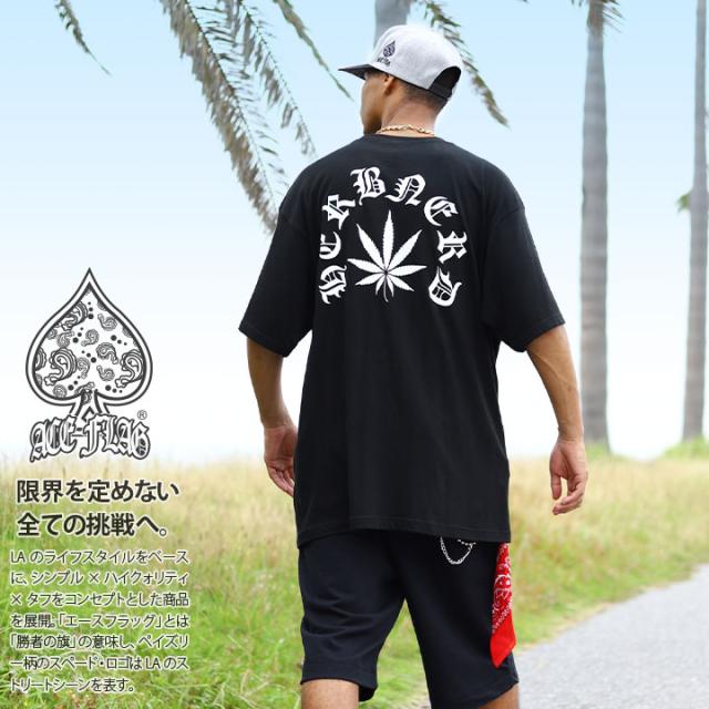 ACE FLAG 上下セット 半袖 ブランド Tシャツ ハーフパンツ メンズ 春夏用 黒 大きいサイズ エースフラッグ セットアップ 裏パイル バッズ 大麻 マリファナ ヘンプ ロゴ ビッグシルエット b系 ヒップホップ ファッション ダンス ストリート系 ハイ 新作 AF-SE-TS-179
