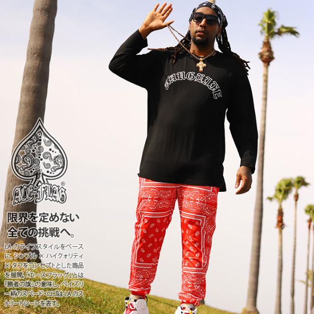 ACE FLAG 上下セット 長袖 ブランド Tシャツ ロンT ロングパンツ メンズ 春秋冬用 黒 大きいサイズ エースフラッグ セットアップ ジャージ トラックパンツ THUG LIFE サグライフ ビッグシルエット b系 ヒップホップ ファッション ストリート系 2025 新作 AF-SE-LT-158