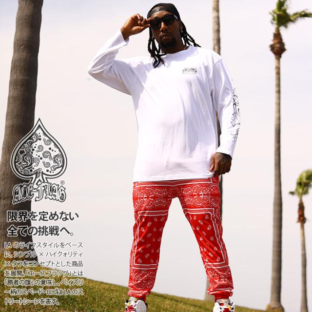 ACE FLAG 上下セット 長袖 ブランド Tシャツ ロンT ロングパンツ メンズ 春秋冬用 白 黒 大きいサイズ エースフラッグ セットアップ ジャージ Pinstripe ピンストライプ 袖ロゴ ビッグシルエット b系 ヒップホップ ファッション ストリート系 2025 新作 AF-SE-LT-164