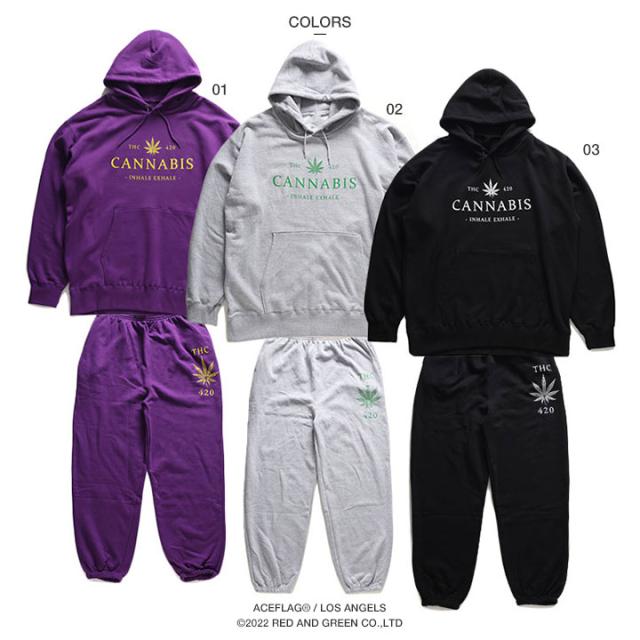 ACEFLAG 上下セット 長袖 ブランド レディース 全3色 大きいサイズ