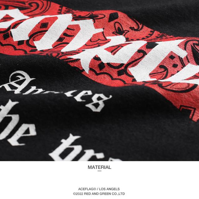 ACEFLAG 上下セット 半袖 ブランド Tシャツ ハーフパンツ 上下 メンズ 春夏用 黒 大きいサイズ エースフラッグ セットアップ Compton ペイズリー柄 b系 ヒップホップ ファッション AF-SE-TS-023の通販は