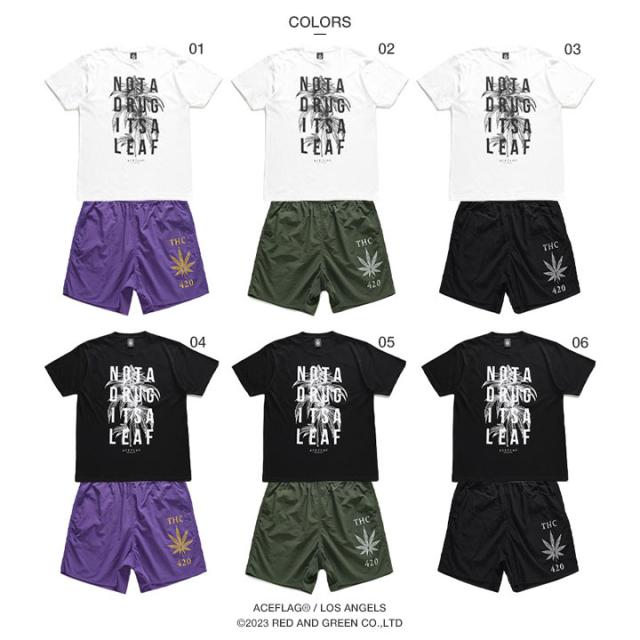 ACE FLAG 上下セット 半袖 ブランド Tシャツ ハーフパンツ