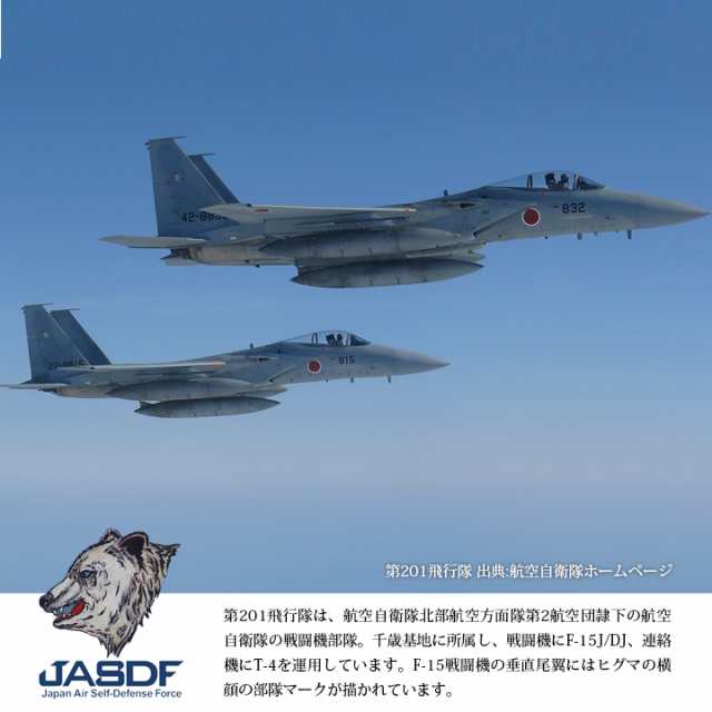 アメリカ空軍44FS パッチ／ワッペン - ミリタリー