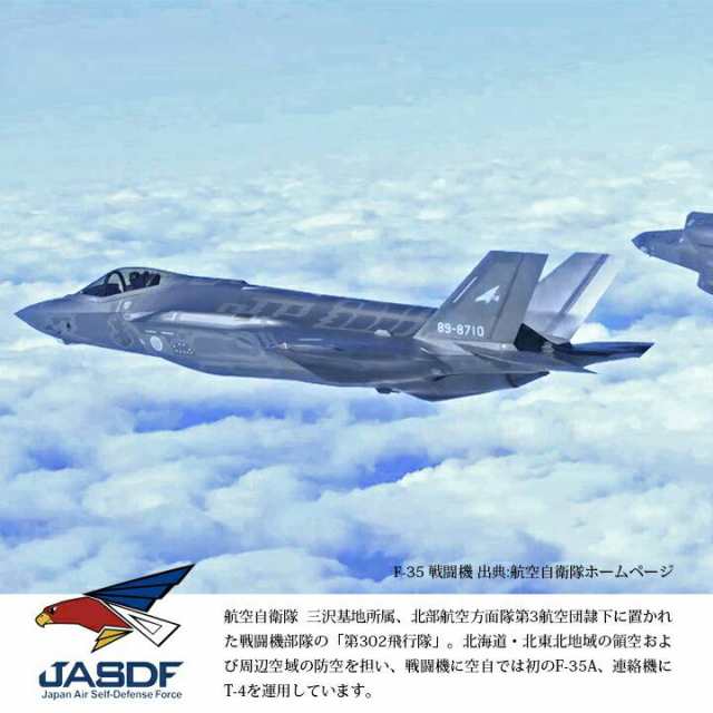 ピンバッチ 第五空 航空自衛隊 JASDF ミリタリーグッズ 戦闘機