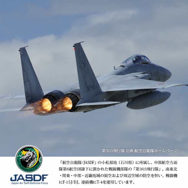 航空自衛隊 F-15 イーグルドライバー パッチ ワッペン - ミリタリー