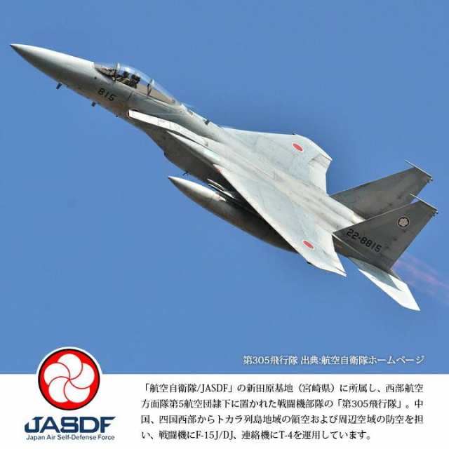 ピンバッチ F-15J 戦闘機 航空自衛隊 JASDF ミリタリーグッズ - 航空機