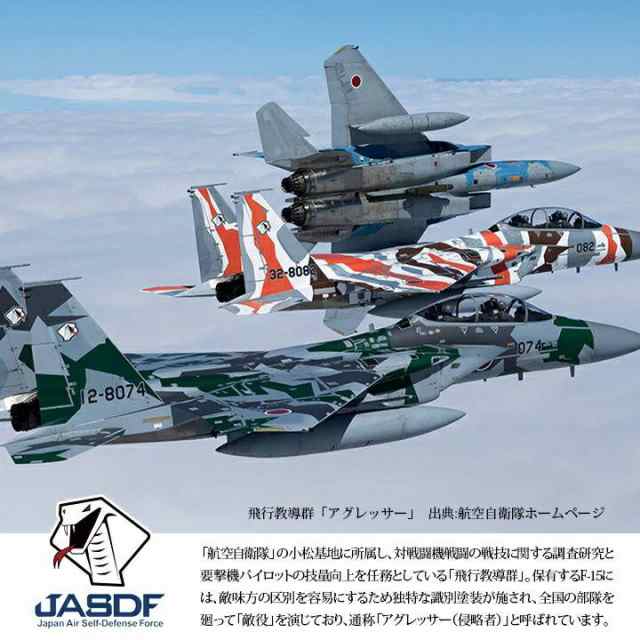 自衛隊 グッズ アグレッサー 飛行教導群 アグレス コブラ 小松基地 F15