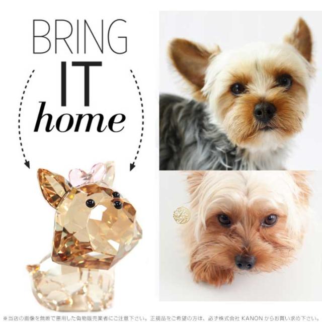 スワロフスキー パピー ヨークシャーテリア 子犬 Swarovski Puppy Dixie The Yorkshire Terrier の通販はau Pay マーケット Import Fan スワロフスキー パピー ヨークシャーテリア 子犬 Swarovski Puppy Dixie The Yorkshire Terrier の通販はau Pay マーケット Import Fan