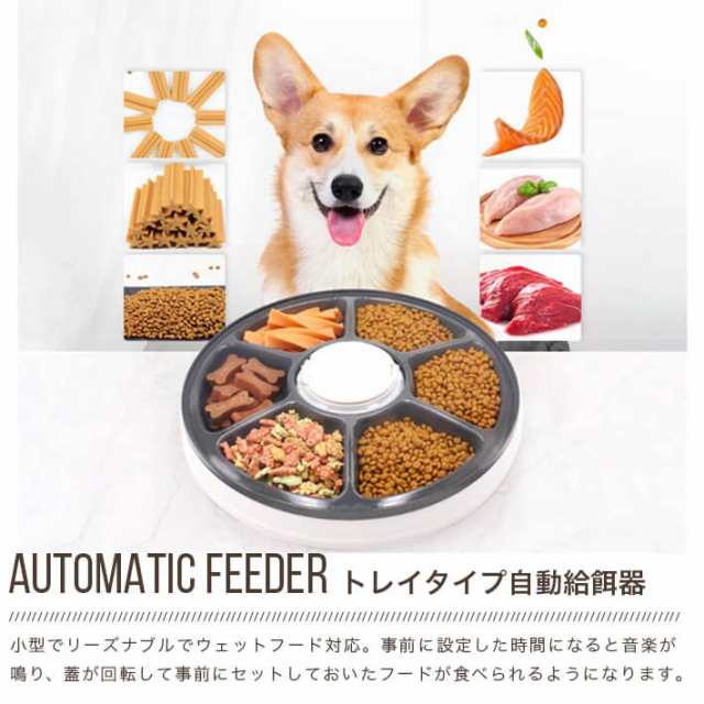 送料無料 自動給餌器 猫 犬 ペット 自動餌やり機 128ml×6食分 24時間 2020進化版 分単位時間自由設定　ＬＣＤ時間表示　 音声呼び掛け機｜au PAY マーケット