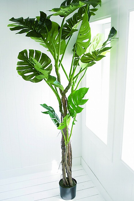 モンステラ フェイクグリーン 造花   【COVENT GARDEN コベントガーデン】【送料無料】 RL-03の通販は 32,780円