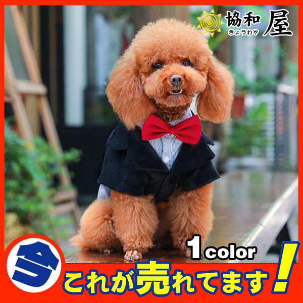 犬 犬服 犬の服 ドッグウェア ウェディングスーツ スーツ パーティースーツ ペットウェア ペットグッズ 上下セット リボンの通販はau Pay マーケット 協和屋