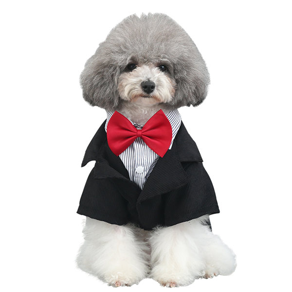 犬 犬服 犬の服 ドッグウェア ウェディングスーツ スーツ パーティースーツ ペットウェア ペットグッズ 上下セット リボンの通販はau Pay マーケット 協和屋