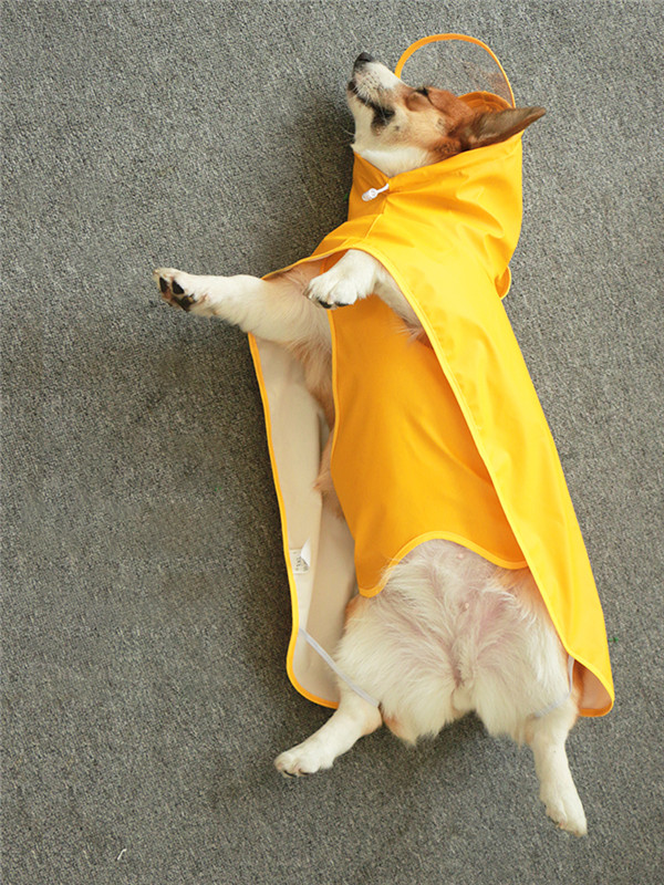 犬用レインコート 犬用 防水 レインコート 雨天対策 小型犬 コーギー 梅雨 散歩 雨具 ポンチョ カッパ ペット服 の通販はau Pay マーケット 協和屋