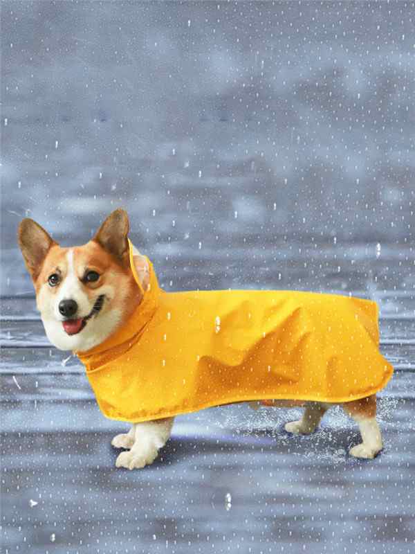 犬用レインコート 犬用 防水 レインコート 雨天対策 小型犬 コーギー 梅雨 散歩 雨具 ポンチョ カッパ ペット服 の通販はau Pay マーケット 協和屋