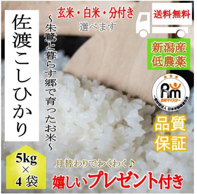 時間指定不可】 食品 白米 令和2年産 コシヒカリ りきちゃん様専用 24キロ 8本 Soku Shukka