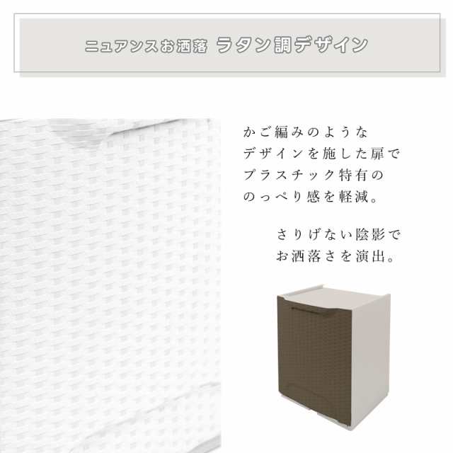 ArtPlast ゴミ箱 45L ラタン調 スタッキング ダストボックス キッチン