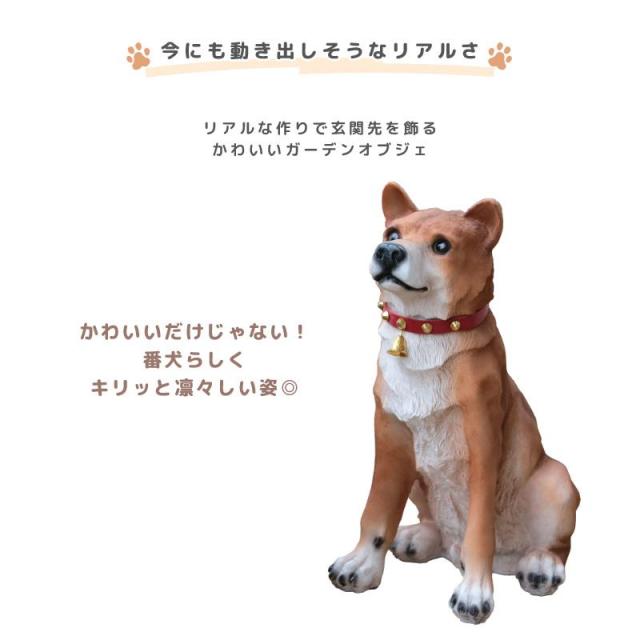 庭 飾りつけ 犬 ガーデンオーナメント 吠える ビッグリキ 本物そっくり 明暗検出器 嗅ぎわける式 犬型 毛の荒物 即物的 一一 柴犬 防犯検出器 鳴声 防犯 飼い犬 園芸 おすわり 園庭雑貨 オブジェ ガーデニング ウォッチドッグ 入り口・入口 可愛らしい 出むかえ 大型 愛玩動物天使の都市