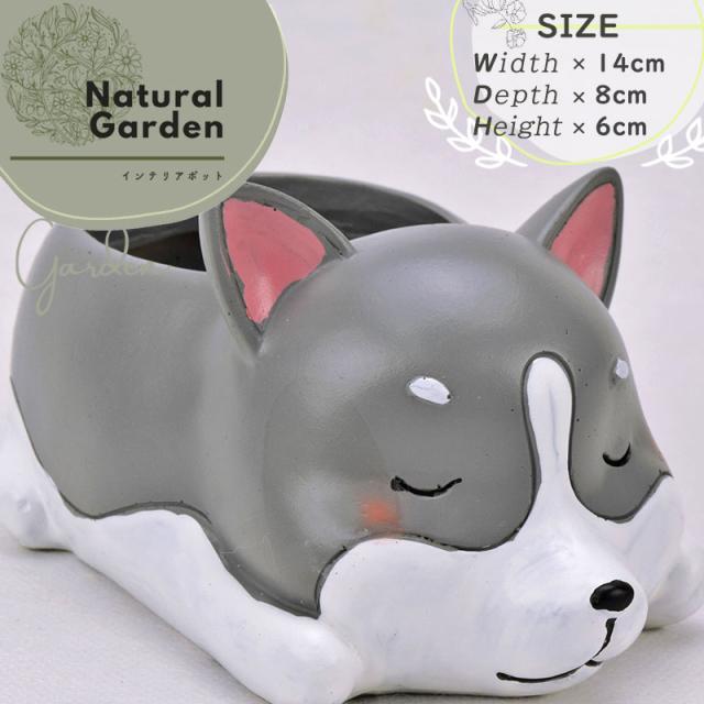おやすみ柴犬 インテリアポット 鉢カバー 動物 犬 かわいい プランター 植木鉢 ナチュラル おしゃれ ガーデニング 置物 オブジェの通販はau Pay マーケット ダントツonline