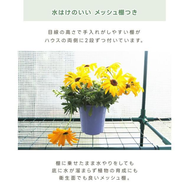 温室 家庭用 大型 おしゃれ ビニールハウス 家庭菜園 菜園ハウス グリーンハウス プランター置き場 冬 フラワーハウス ガーデンハウス 雨よけ 防虫 防鳥 園芸 翌日配送_4