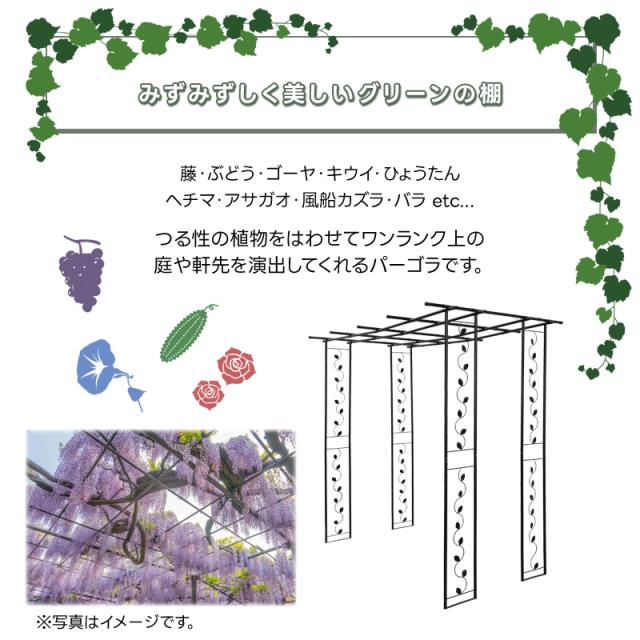 園庭あずま屋 S大きさ 藤棚 フルーツあずま屋 アーチ形 エクステリア ぶどう棚 薔薇 ローズ 園芸 省エネ 切り詰める 緑であること窓掛け またの日送りとどける