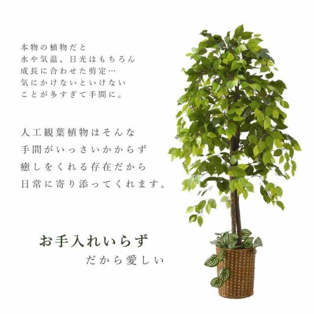 人工観葉植物 ベンジャミン 大型 フェイクグリーン 高さ150cm おしゃれ