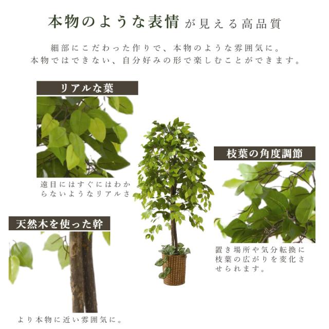 フェイクグリーン 2点セット 和風 引っ越し祝い ベンジャミン 観音竹 大型 人工観葉植物 風水 リラックス おしゃれ バンブー インテリア オフィス プレゼント おしゃれ 観葉植物 翌日配送_7