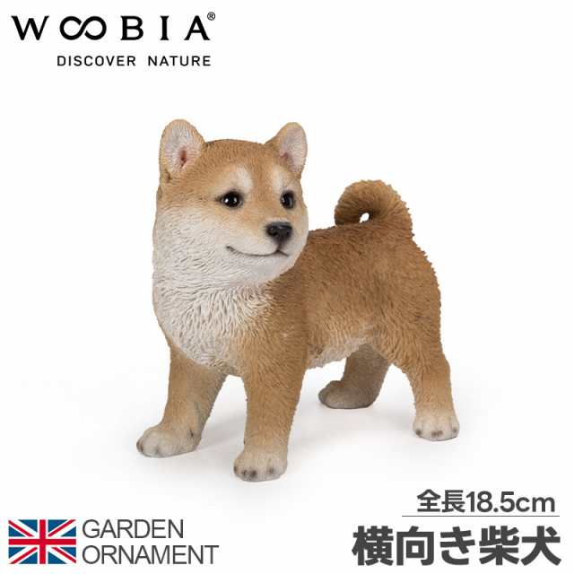 柴犬 子犬 犬 いぬ オブジェ オーナメント ガーデンオーナメント 置物