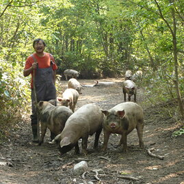 ジンギスカン 豚丼 ハンバーグ 詰め合わせ どろぶたグルメ 焼くだけお手軽セット 北海道 十勝 帯広 旅サラダ ランチョエルパソ 肉 贈りの通販はau Pay マーケット 北海道美食生活 Au Pay マーケット店