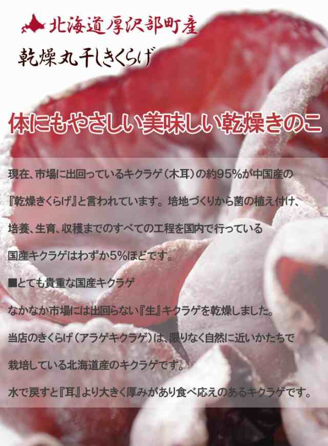 乾燥 丸干し きくらげ15g×2個 北海道産 無農薬 菌床 栽培 温泉熱利用 キクラゲ 木耳 きくらげ 食材 野菜 無農薬野菜 食品 きのこ キノコ  北海道 お取り寄せ 乾物 ビタミンD 食物繊維 保存食SDGs ポスト投函 【即日発送】