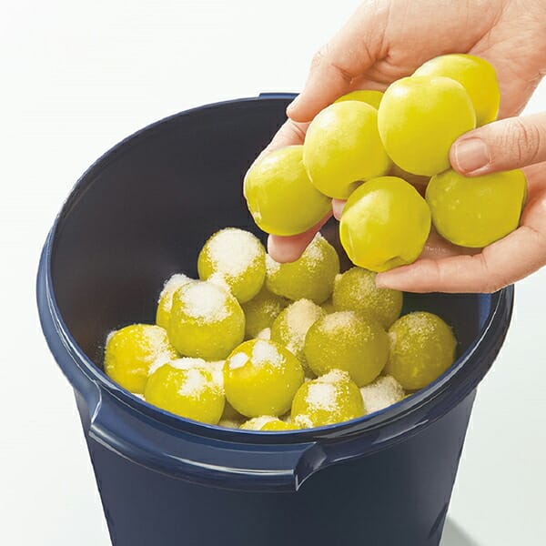 タッパーウェア マキシクイーンデコレーター マキシクイーン