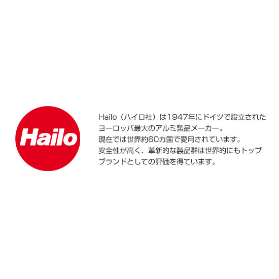 Hailo　ハイロ　ニュービッグボックス（ダストボックス）60L　ステンレス　60081_2