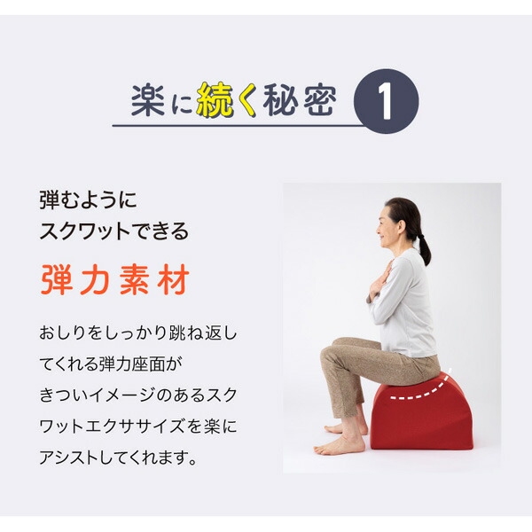 ドリーム  プロイデア  ワイドスクワットホッパー  エクササイズ  運動クッション  お尻  裏もも  内もも_5
