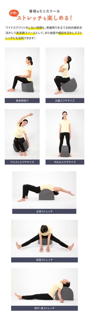 ドリーム  プロイデア  ワイドスクワットホッパー  エクササイズ  運動クッション  お尻  裏もも  内もも_8