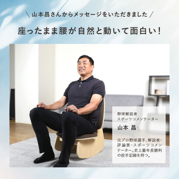 ドリーム　 プロイデア　ゆらゆら腰サポート座椅子　腰痛　姿勢　くつろぎ　プレゼント