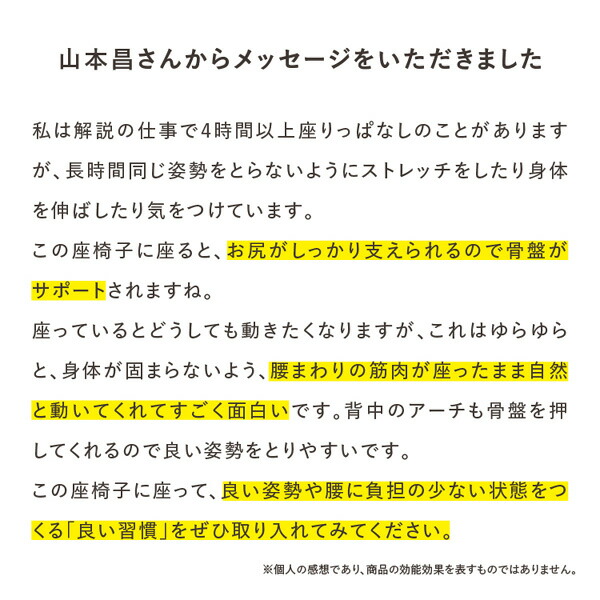 ドリーム　 プロイデア　ゆらゆら腰サポート座椅子　腰痛　姿勢　くつろぎ　プレゼント