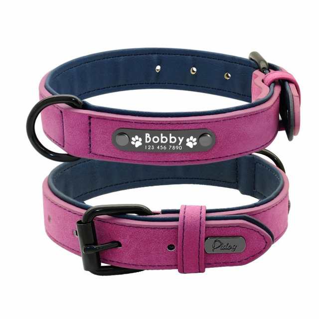 dog collar large dog