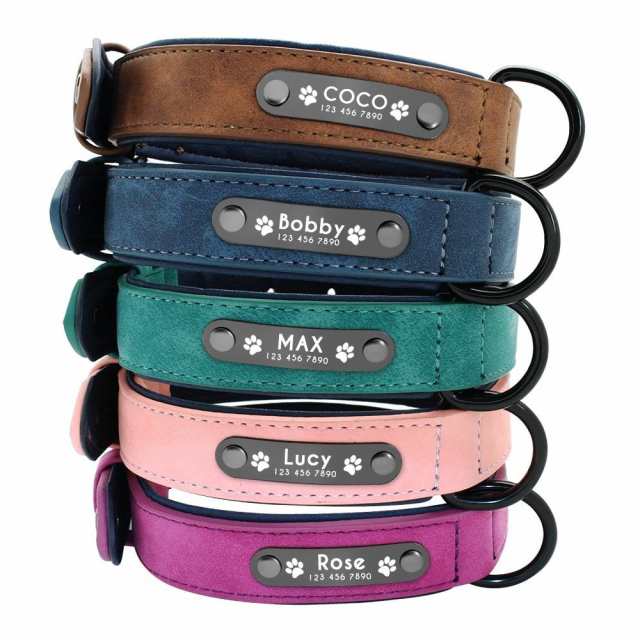 dog collar with name