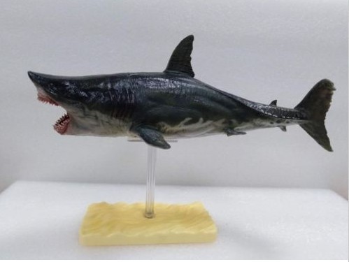 税込 Pnso メガロドン Shark サメ フィギュア アニマル モデル 玩具 Pvc 塗装済完成品 領収発行可 の通販はau Pay マーケット プレイワン Au Pay マーケット店