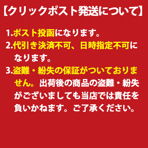 送料無料】 北斗の拳 前掛け お前はもう死んでいる ケンシロウ 光武