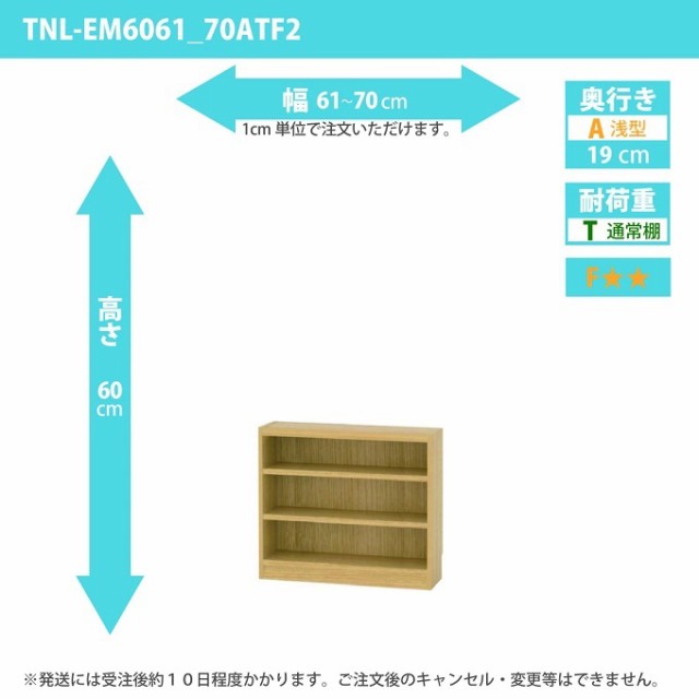 タナリオ 幅61カラ70cm 奥行19cm 高さ60cm 奥浅型 オーダー シェルフ 多目的家具 収納整理 フリーラック 全段可動 TNL-EM6061_70ATF2