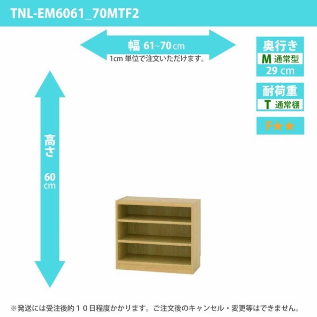 タナリオ 幅61cm-70cm 奥行29cm 高さ60cm 奥通常 オーダー 多目的家具 収納整理 シェルフ フリーラック 全段可動 TNL-EM6061_70MTF2