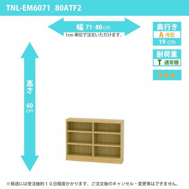 タナリオ 幅71カラ80cm 奥行19cm 高さ60cm 奥浅型 オーダー シェルフ 多目的家具 収納整理 ワイドラック 全段可動 TNL-EM6071_80ATF2