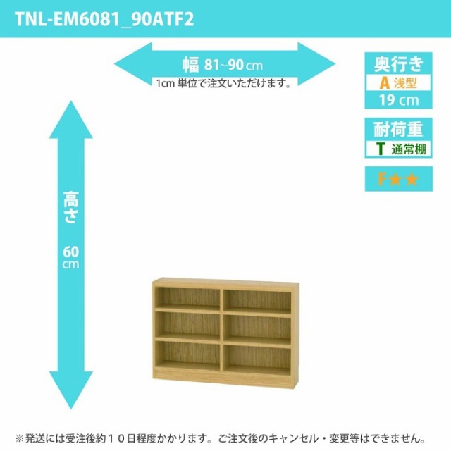 タナリオ 幅81カラ90cm 奥行19cm 高さ60cm 奥浅型 オーダー シェルフ 多目的家具 収納整理 ワイドラック 全段可動 TNL-EM6081_90ATF2