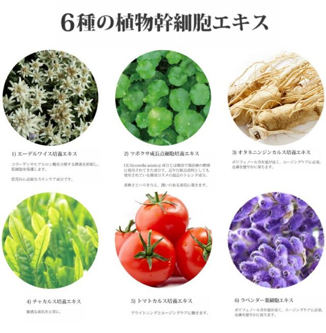 エステパートナー ハリクリーム 50g【ヒト肝細胞 順化培養液 ECエピキュール 植物肝細胞 HARI クリーム 】_4
