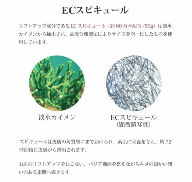 エステパートナー ハリクリーム 50g【ヒト肝細胞 順化培養液 ECエピキュール 植物肝細胞 HARI クリーム 】_3