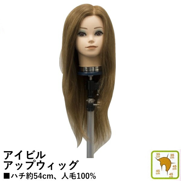 アイビル アップウィッグ ＃295 ブラウン 人毛100％ アップ カラー パーマ 基礎練習 カット 美容用品 サロン専売品 カット 練習 練習用 ウィッグ