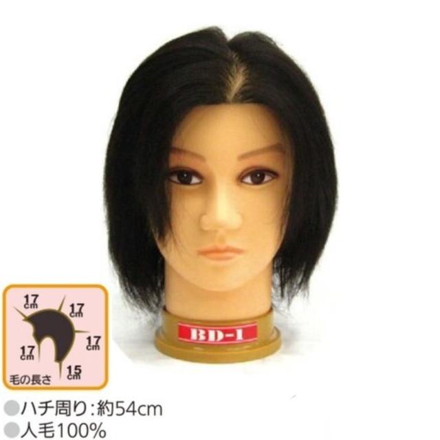 カットウィッグ メンズウィッグ BD-1 (理容師 散髪屋 床屋 実技試験 スタイリスト サロン カット パーマ ヘアカラー セット 編み込み アップ 練習)